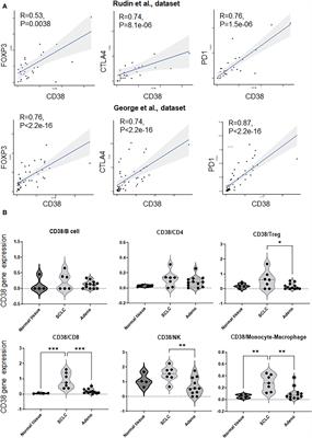 Role of CD38 in anti-tumor immunity of small cell lung cancer